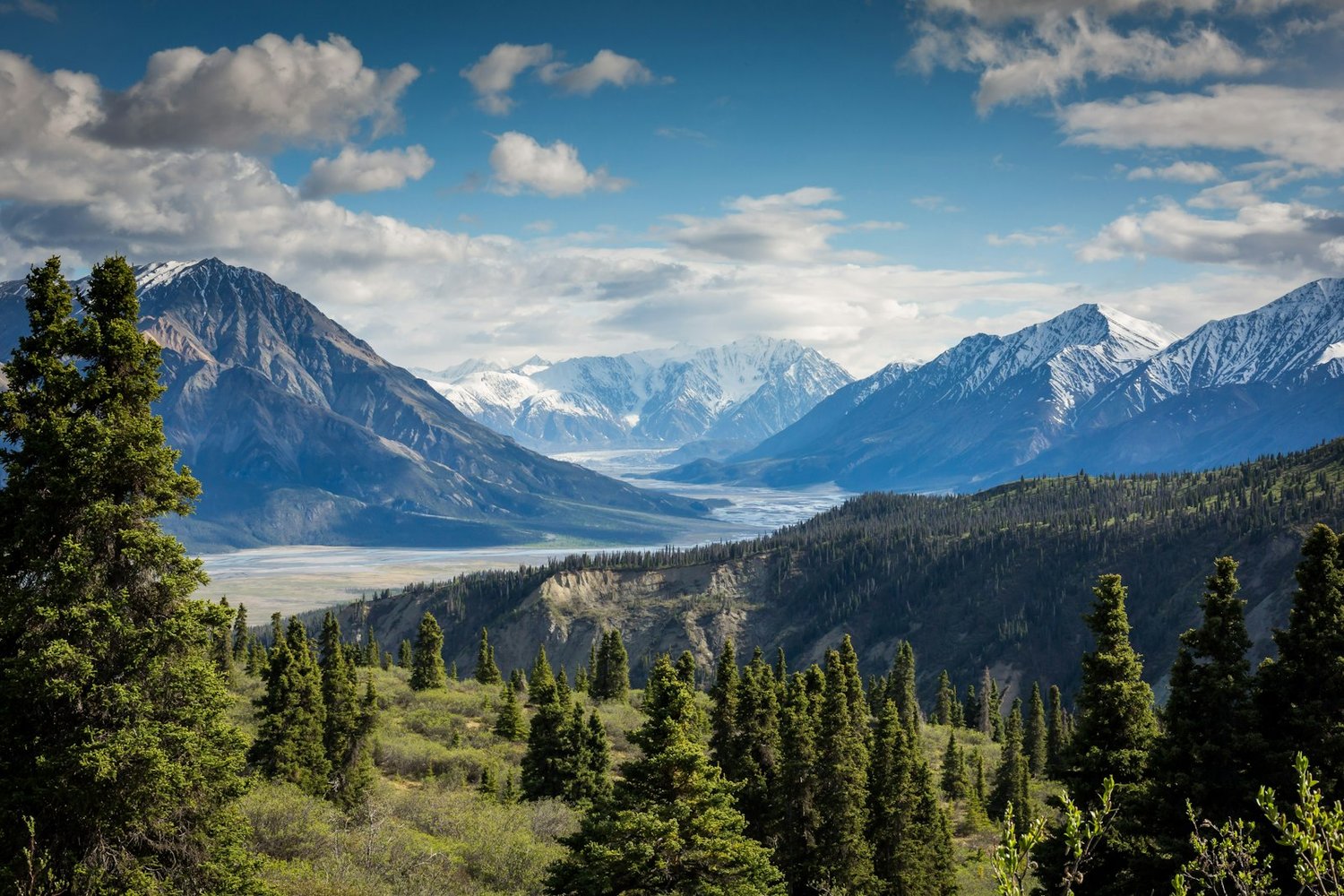 VegasHero